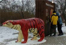 Sean and Kyle with a bear